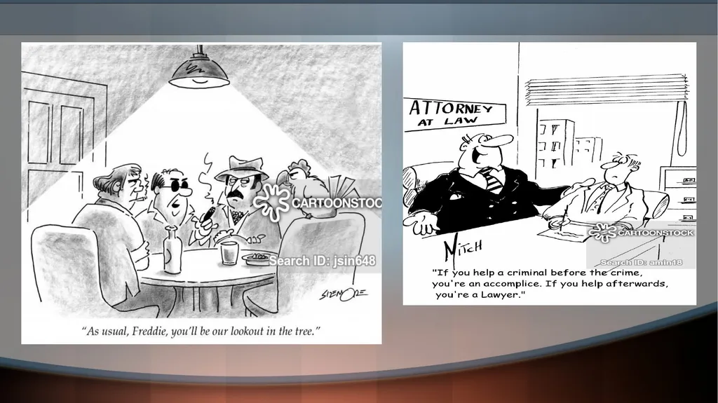 ACCOMPLICE EVIDENCE © Sumiti Ahuja, Assistant - slide 4 of 13