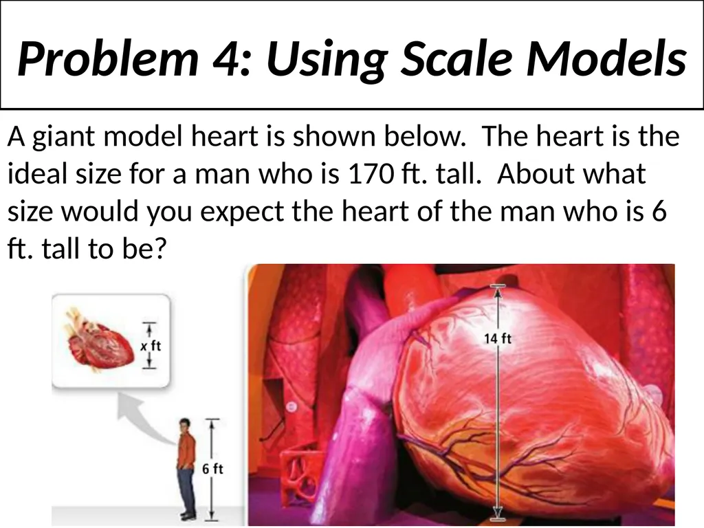 2-8 Proportions and Similar Figures Similar - slide 12 of 13