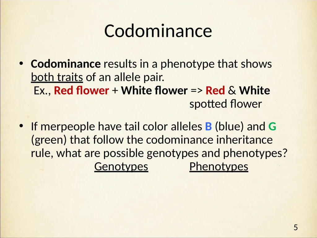 Genetics in Harry Potter’s World Lesson 2 Beyond - slide 5 of 31