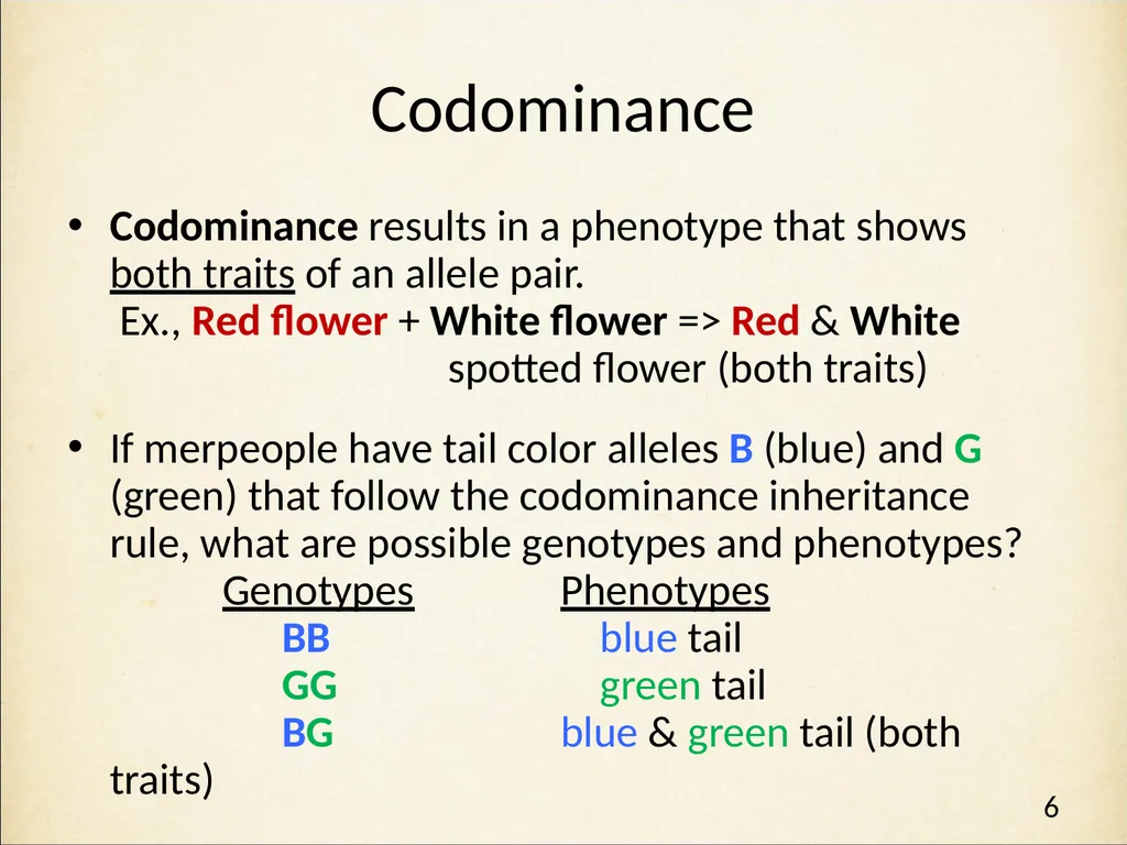 Genetics in Harry Potter’s World Lesson 2 Beyond - slide 6 of 31