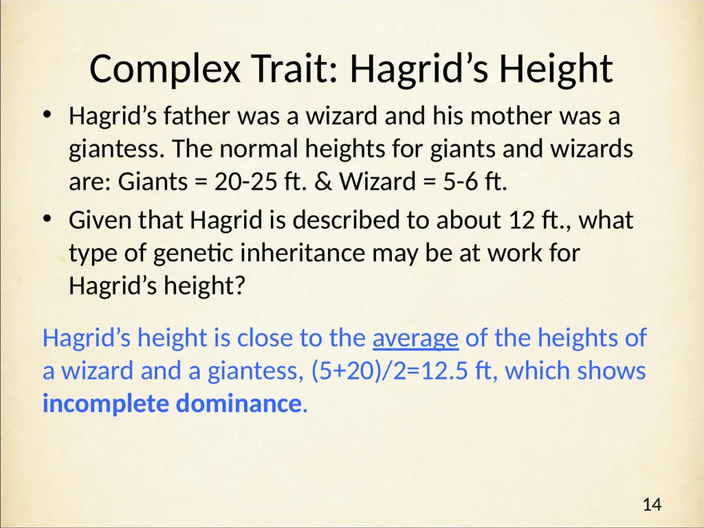 Genetics in Harry Potter’s World Lesson 2 Beyond - slide 14 of 31