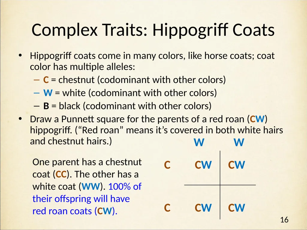 Genetics in Harry Potter’s World Lesson 2 Beyond - slide 16 of 31