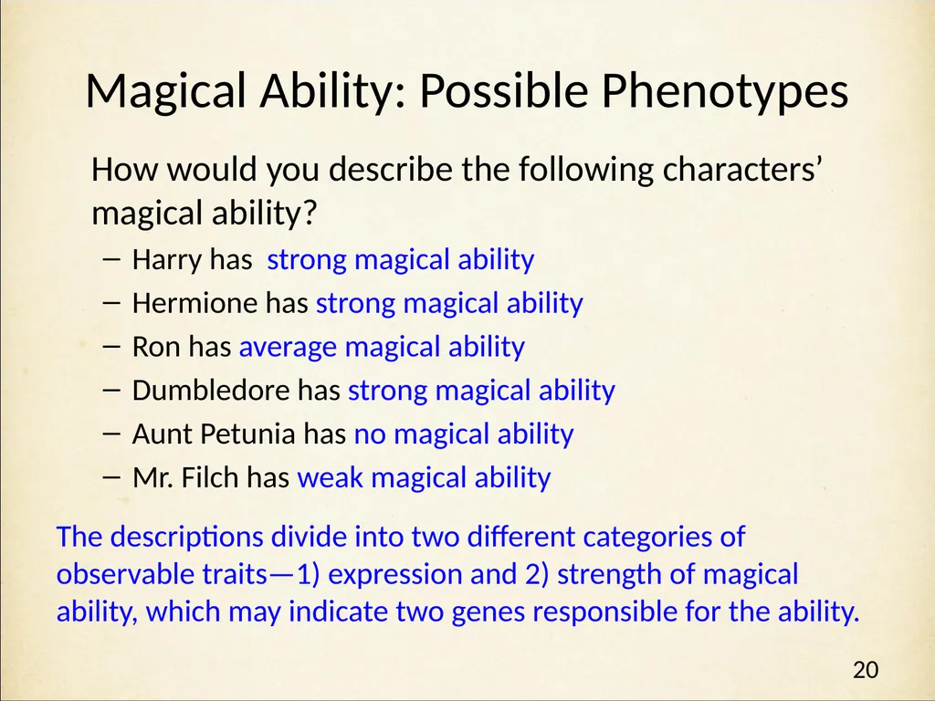 Genetics in Harry Potter’s World Lesson 2 Beyond - slide 20 of 31