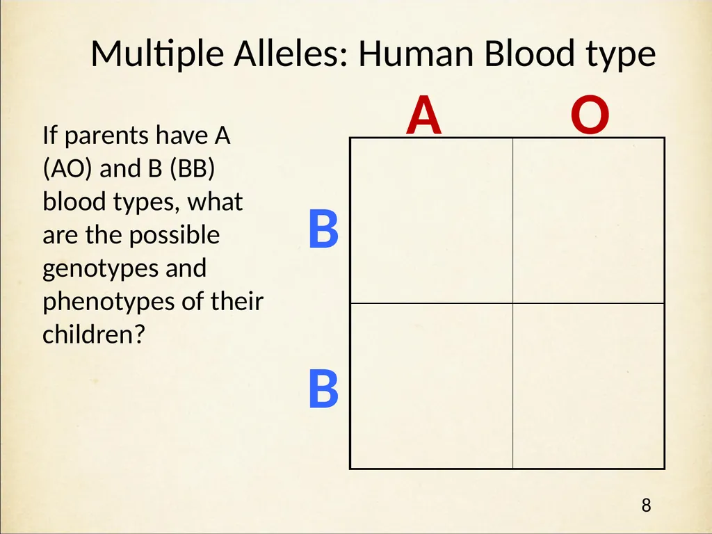 Genetics in Harry Potter’s World Lesson 2 Beyond - slide 8 of 31