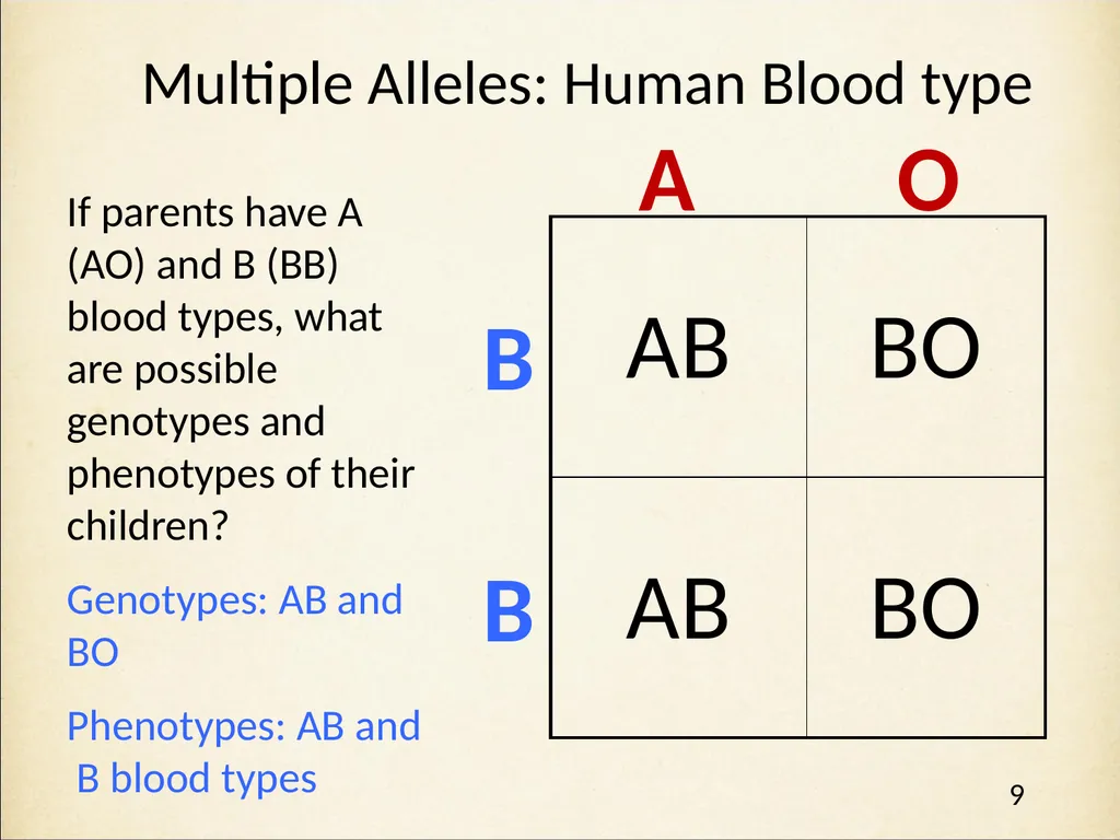 Genetics in Harry Potter’s World Lesson 2 Beyond - slide 9 of 31