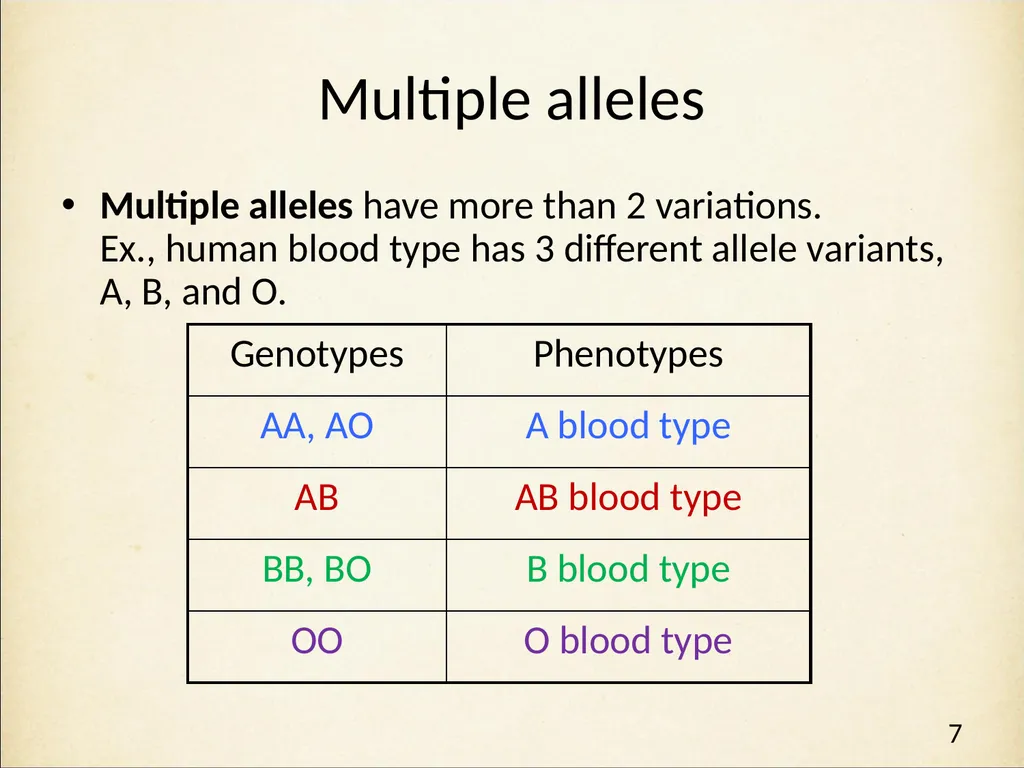 Genetics in Harry Potter’s World Lesson 2 Beyond - slide 7 of 31