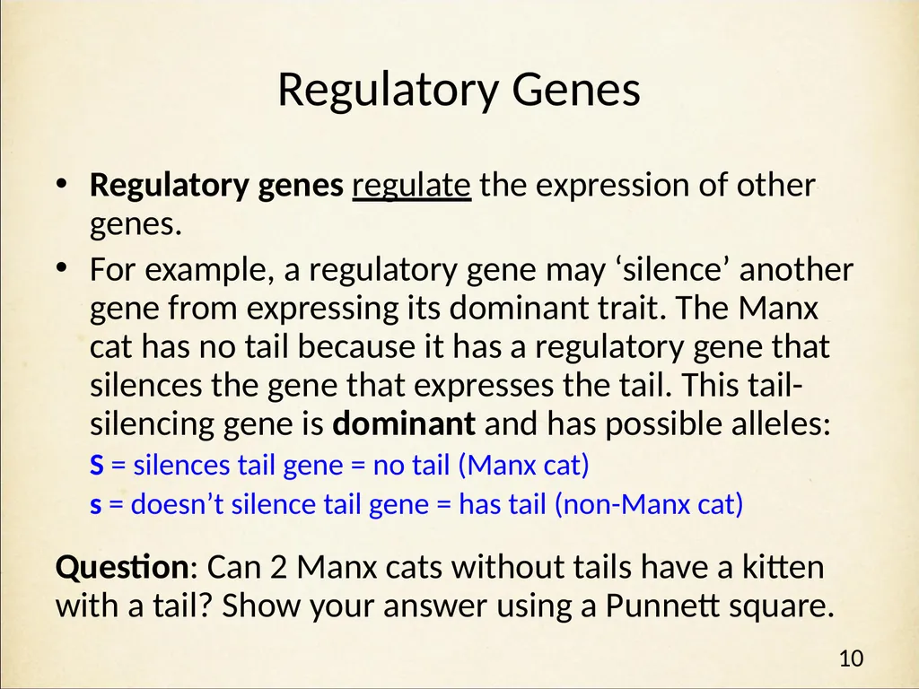 Genetics in Harry Potter’s World Lesson 2 Beyond - slide 10 of 31
