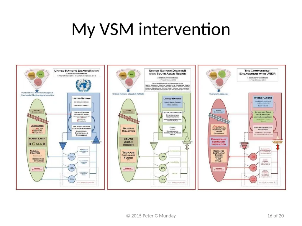 VSM working in Natural Disasters Peter Munday, PhD - slide 16 of 20
