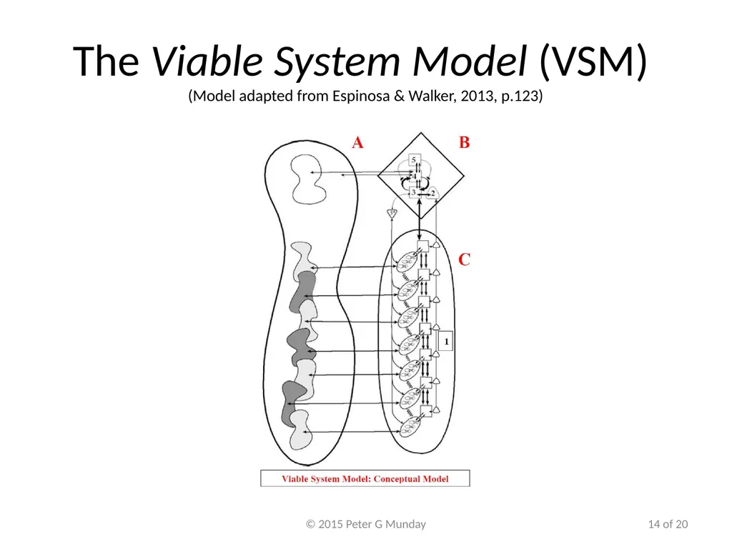 VSM working in Natural Disasters Peter Munday, PhD - slide 14 of 20