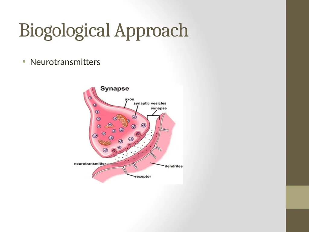 Approaches (AS) D A Gajic (CPsychol, AFBPsS) - slide 14 of 15