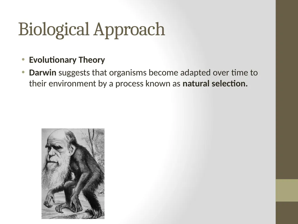 Approaches (AS) D A Gajic (CPsychol, AFBPsS) - slide 15 of 15
