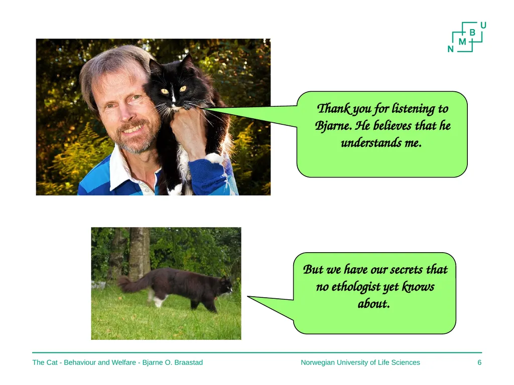 The Cat – Behaviour and Welfare 19. Keeping cats - slide 6 of 7
