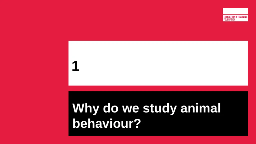 T LEVEL IN ANIMAL CARE AND MANAGEMENT Support - slide 2 of 139