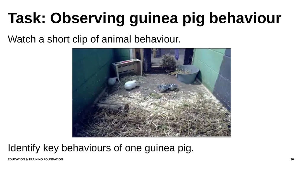 T LEVEL IN ANIMAL CARE AND MANAGEMENT Support - slide 36 of 139