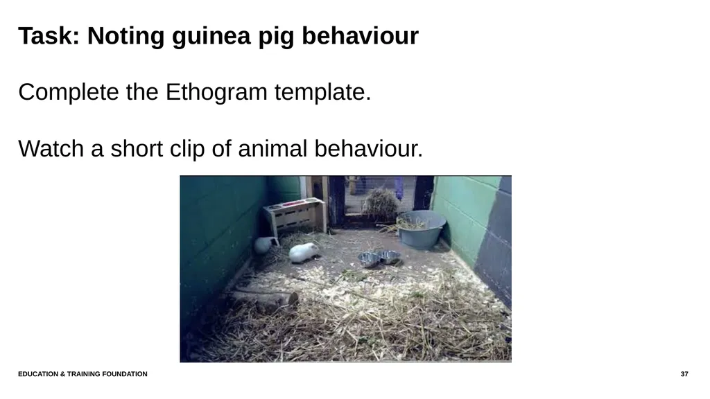 T LEVEL IN ANIMAL CARE AND MANAGEMENT Support - slide 37 of 139