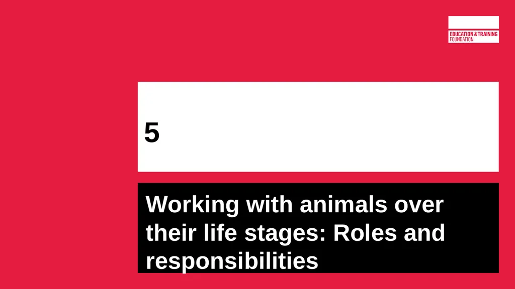 T LEVEL IN ANIMAL CARE AND MANAGEMENT Support - slide 66 of 139
