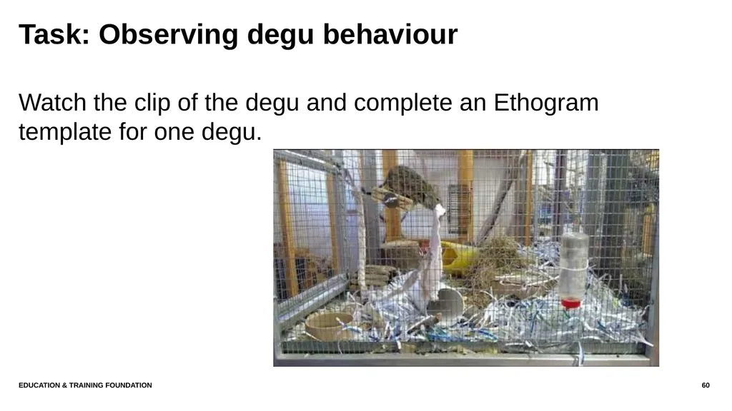 T LEVEL IN ANIMAL CARE AND MANAGEMENT Support - slide 60 of 139