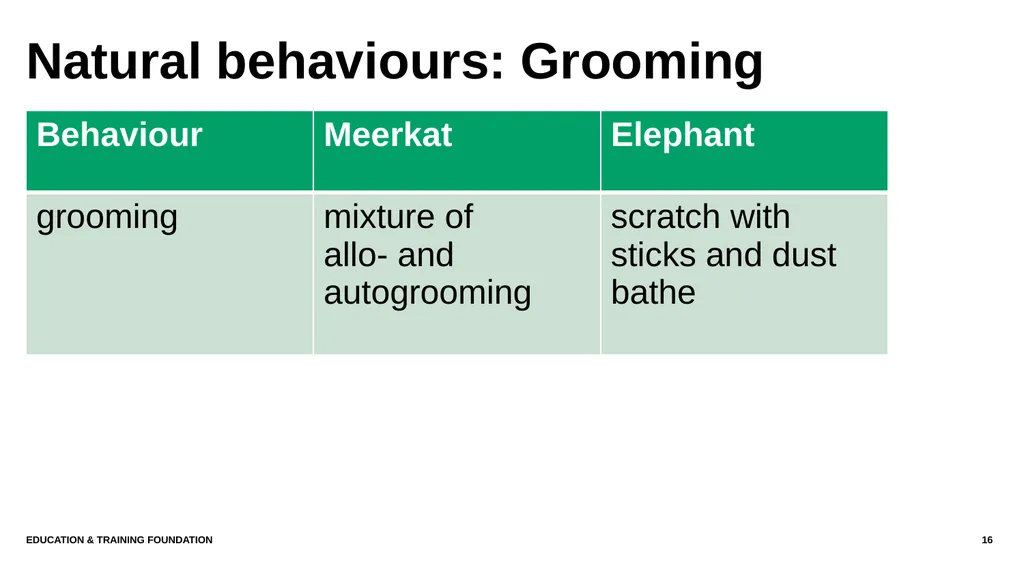 T LEVEL IN ANIMAL CARE AND MANAGEMENT Support - slide 16 of 139