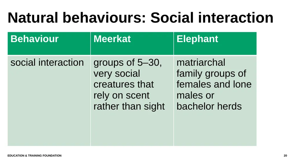 T LEVEL IN ANIMAL CARE AND MANAGEMENT Support - slide 20 of 139