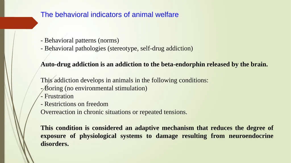 Animal Welfare as a requirement for the proper - slide 36 of 56