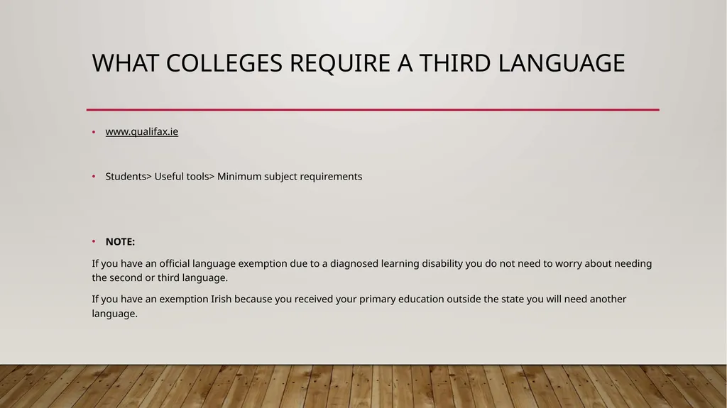 Choices after Junior Cert 2021 Leaving Cert - slide 16 of 18