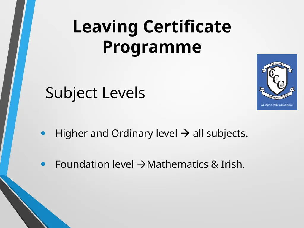 WELCOME Presentation on Subject Choice for Leaving - slide 5 of 25