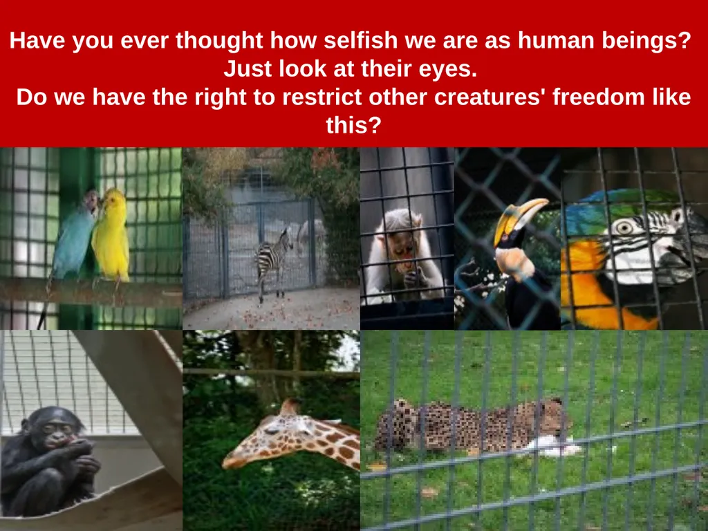 Have you ever thought how selfish we are as human - slide 1 of 16