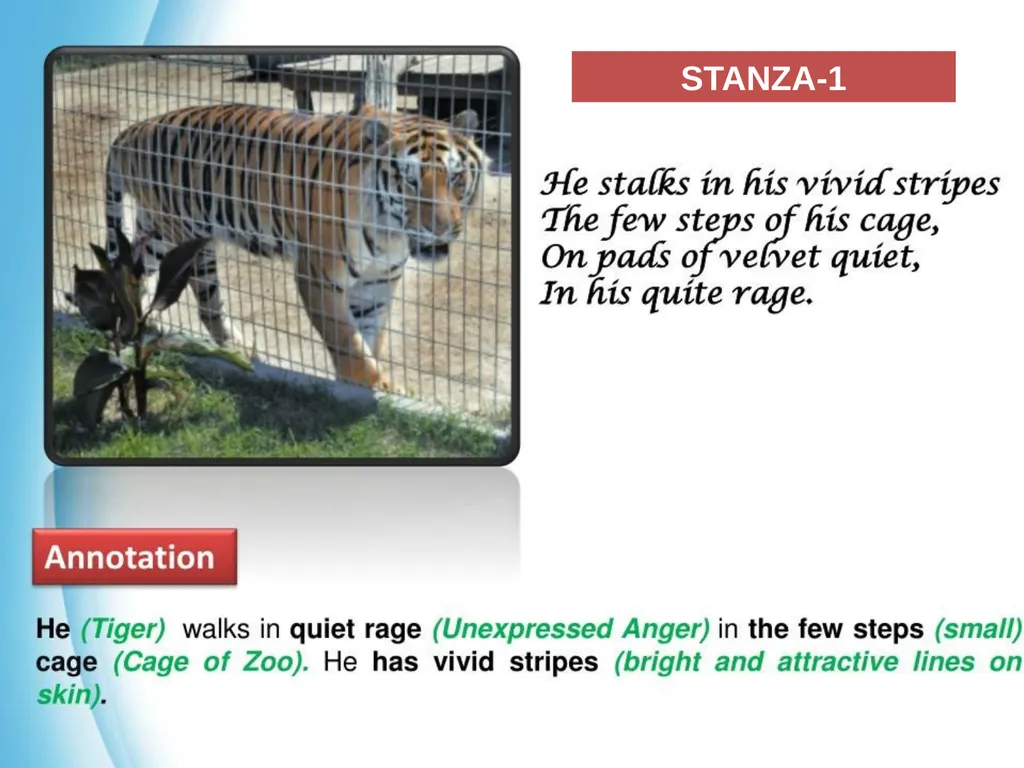 Have you ever thought how selfish we are as human - slide 6 of 16