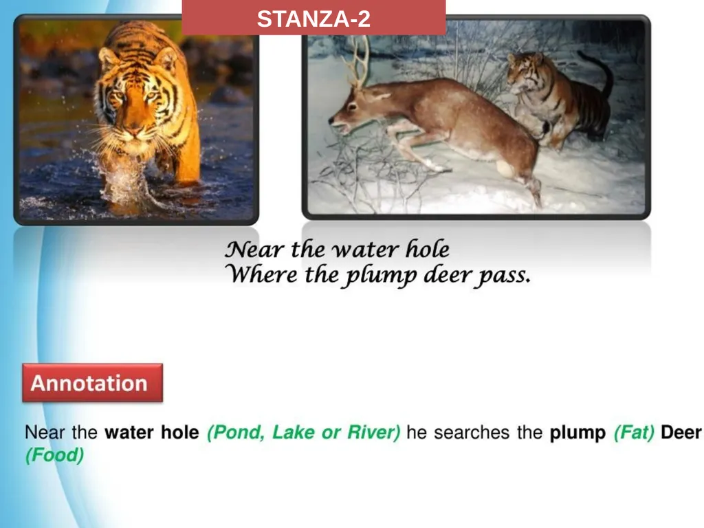 Have you ever thought how selfish we are as human - slide 8 of 16