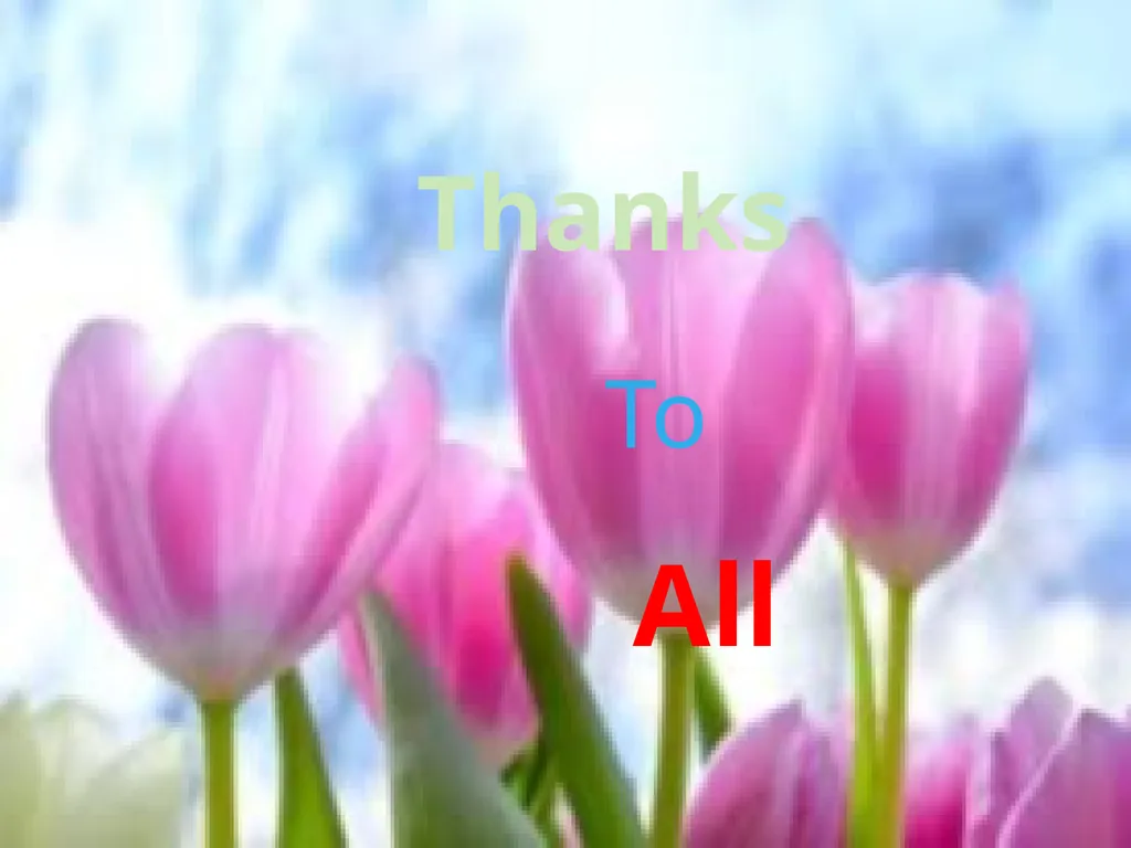 WELCOME TO ENGLISH CLASS INTRODUCTION HASINA - slide 16 of 16