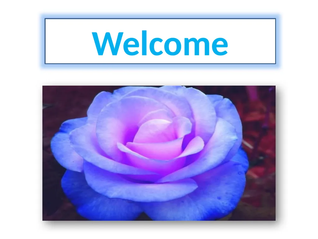 Welcome Introduction Amina khatoun Senior Teacher - slide 1 of 19
