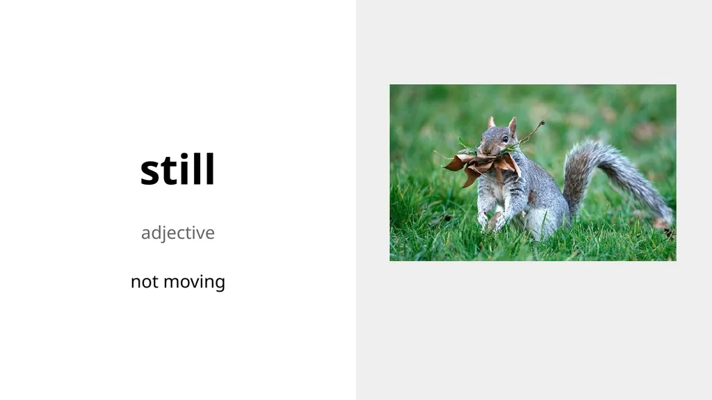 Words with Multiple Meanings Vocabulary & Language - slide 2 of 9
