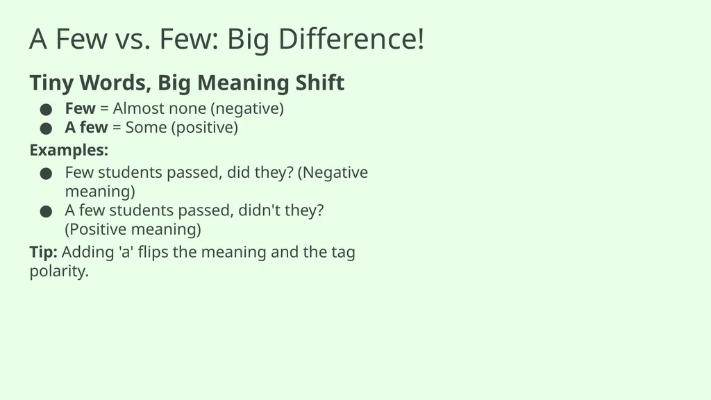 Question Tags 5: Negative Words and Meanings - slide 7 of 13