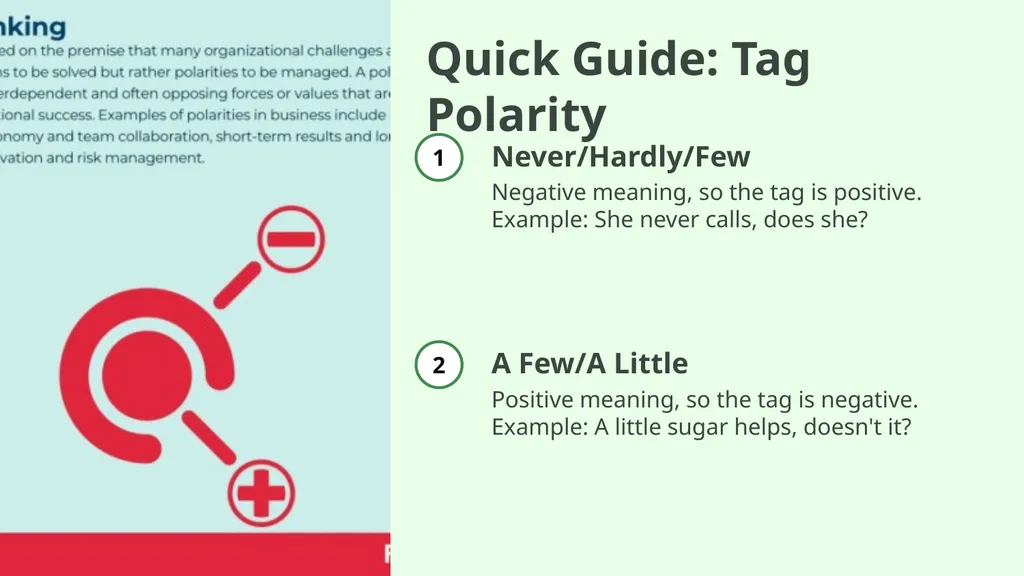 Question Tags 5: Negative Words and Meanings - slide 8 of 13