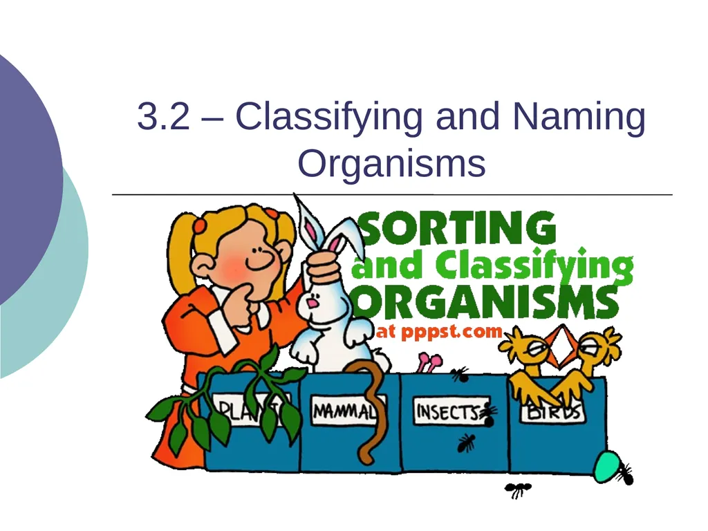 3.2 – Classifying and Naming Organisms The - slide 1 of 13