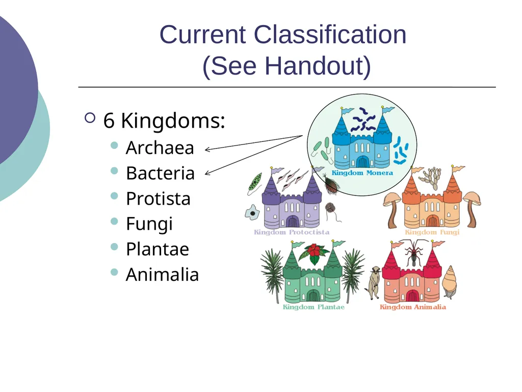 3.2 – Classifying and Naming Organisms The - slide 5 of 13