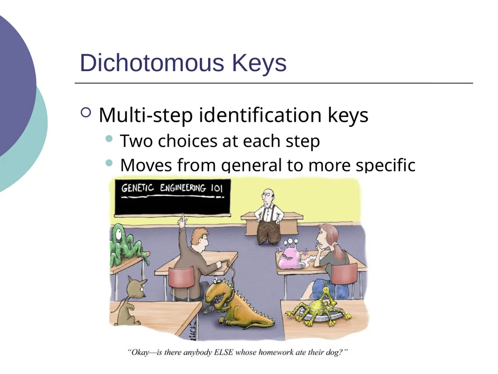 3.2 – Classifying and Naming Organisms The - slide 13 of 13