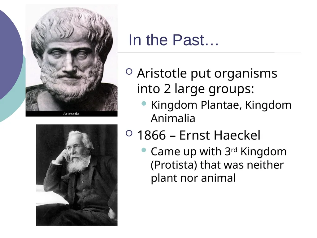 3.2 – Classifying and Naming Organisms The - slide 3 of 13