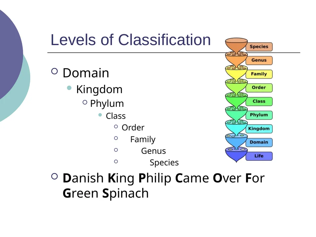 3.2 – Classifying and Naming Organisms The - slide 11 of 13