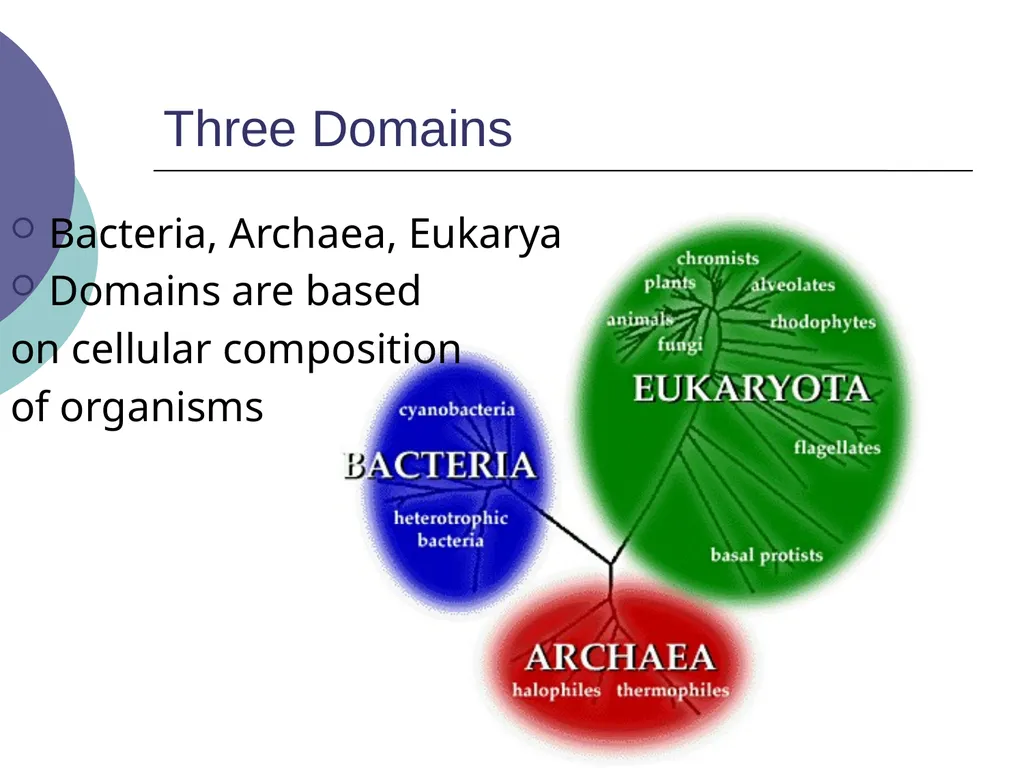 3.2 – Classifying and Naming Organisms The - slide 4 of 13