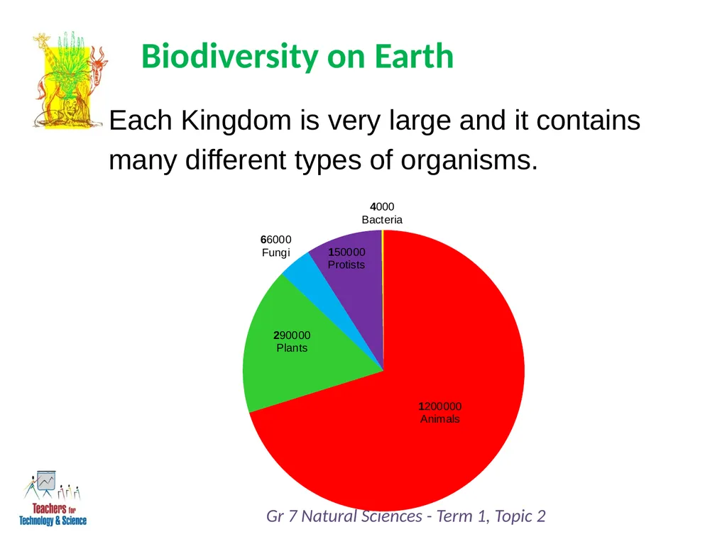Natural Sciences Grade 7 Term 1: Life and Living - slide 5 of 17