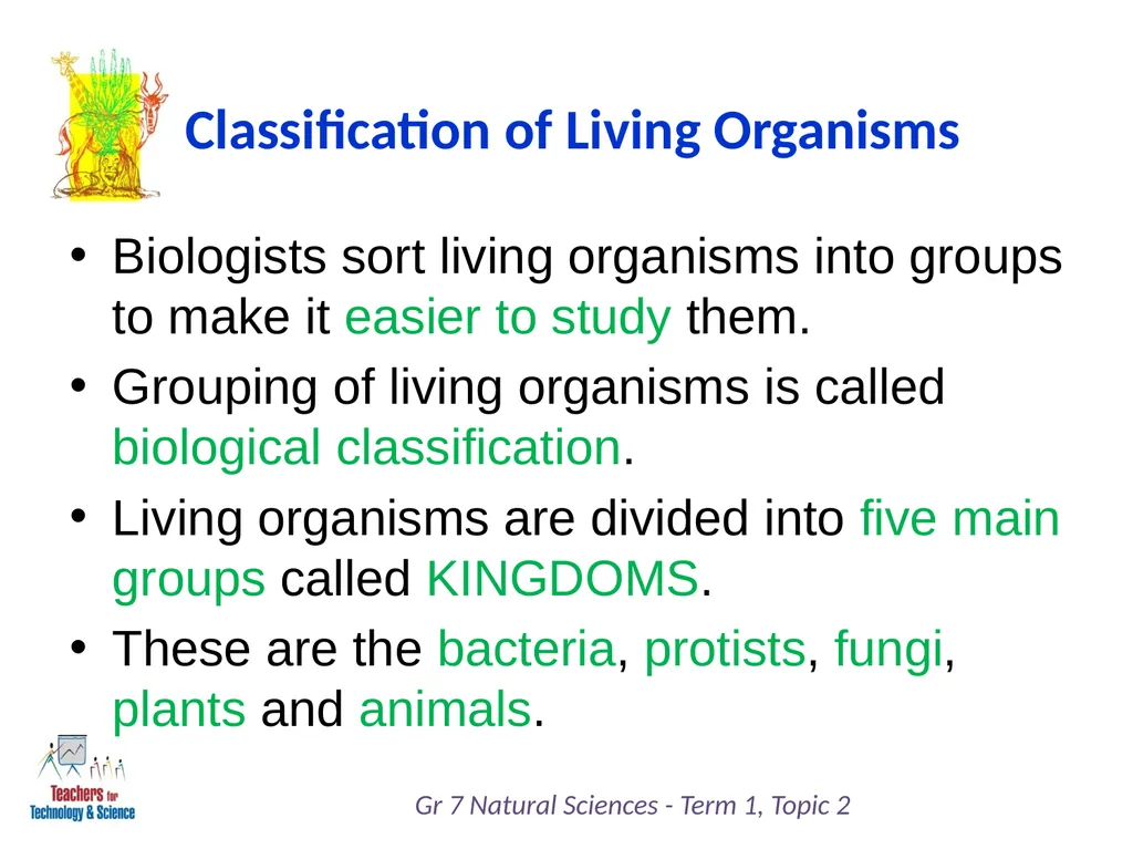 Natural Sciences Grade 7 Term 1: Life and Living - slide 4 of 17