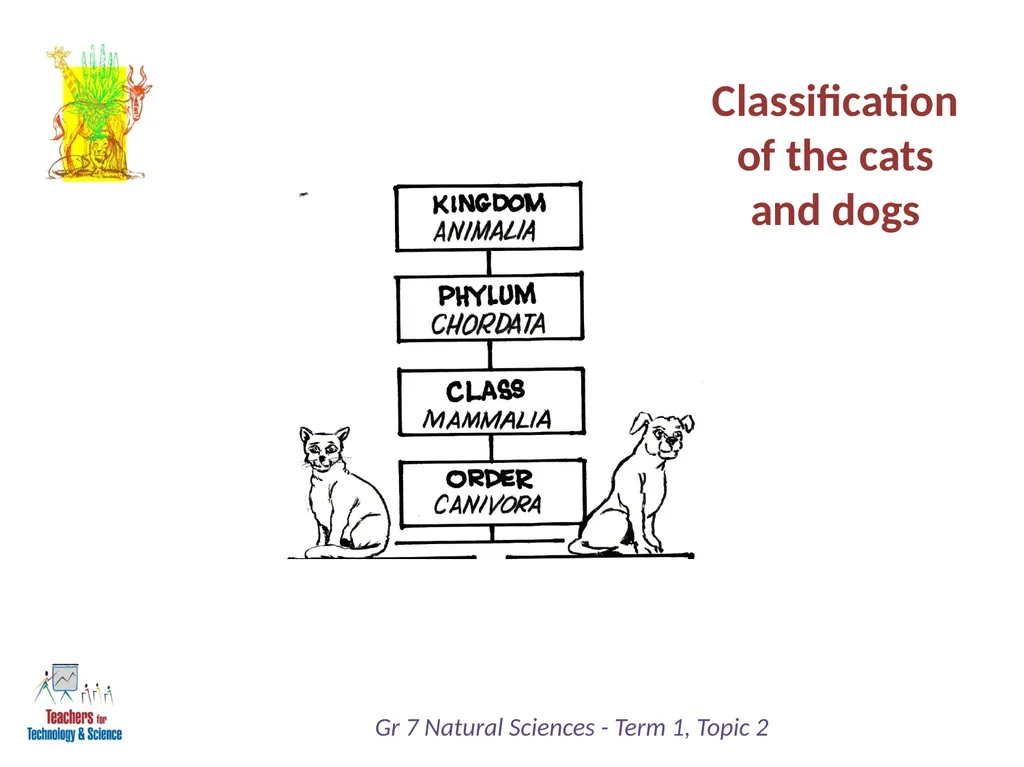 Natural Sciences Grade 7 Term 1: Life and Living - slide 16 of 17