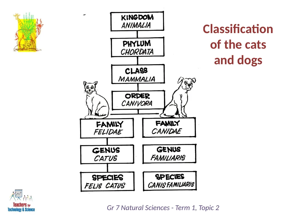 Natural Sciences Grade 7 Term 1: Life and Living - slide 17 of 17