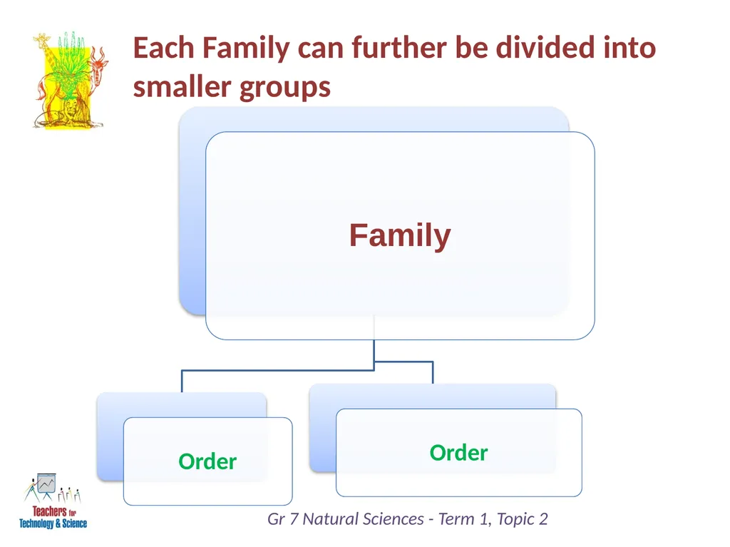 Natural Sciences Grade 7 Term 1: Life and Living - slide 13 of 17