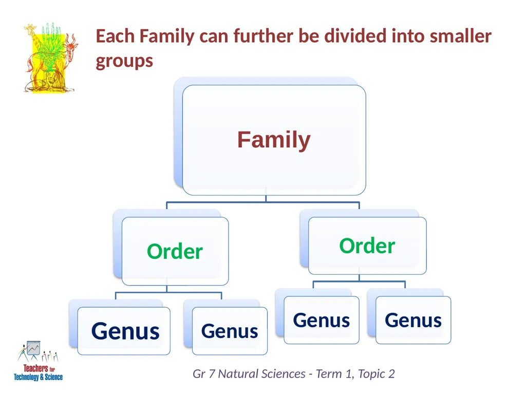 Natural Sciences Grade 7 Term 1: Life and Living - slide 14 of 17