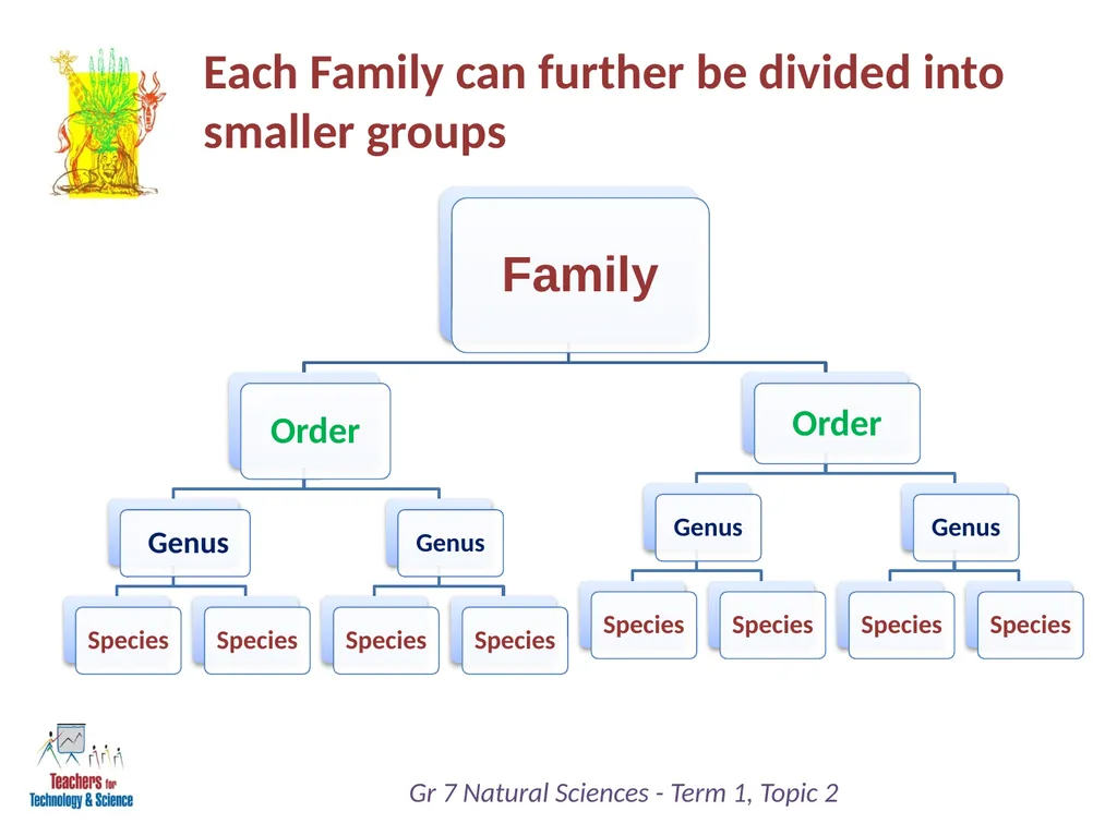 Natural Sciences Grade 7 Term 1: Life and Living - slide 15 of 17