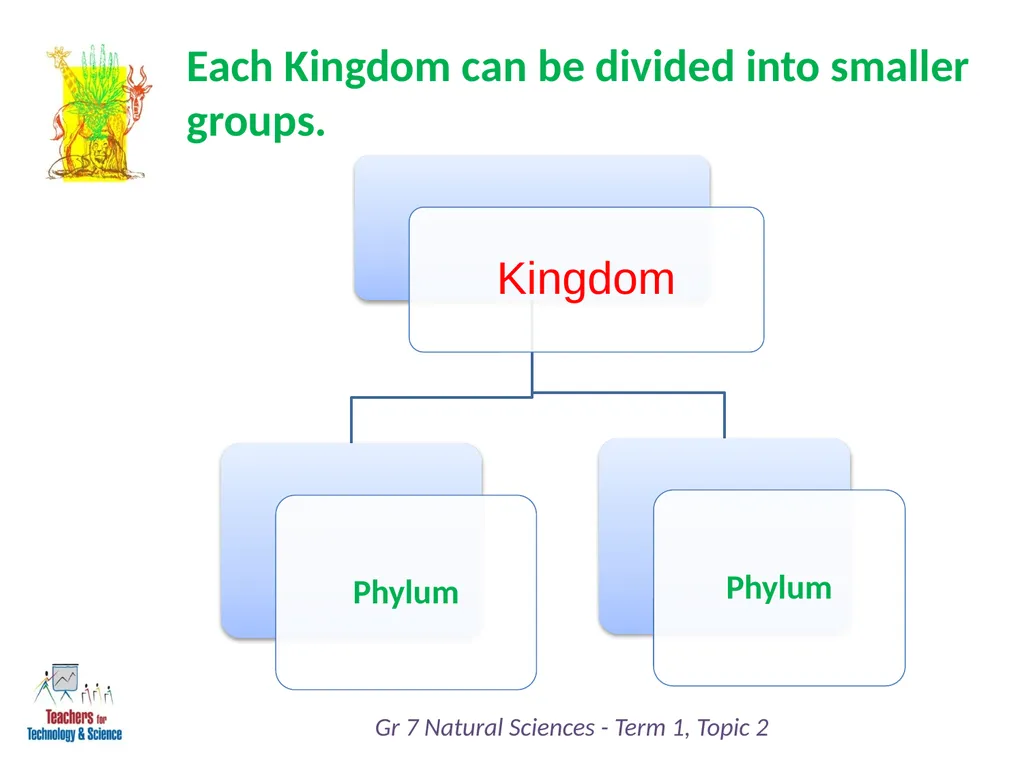 Natural Sciences Grade 7 Term 1: Life and Living - slide 10 of 17