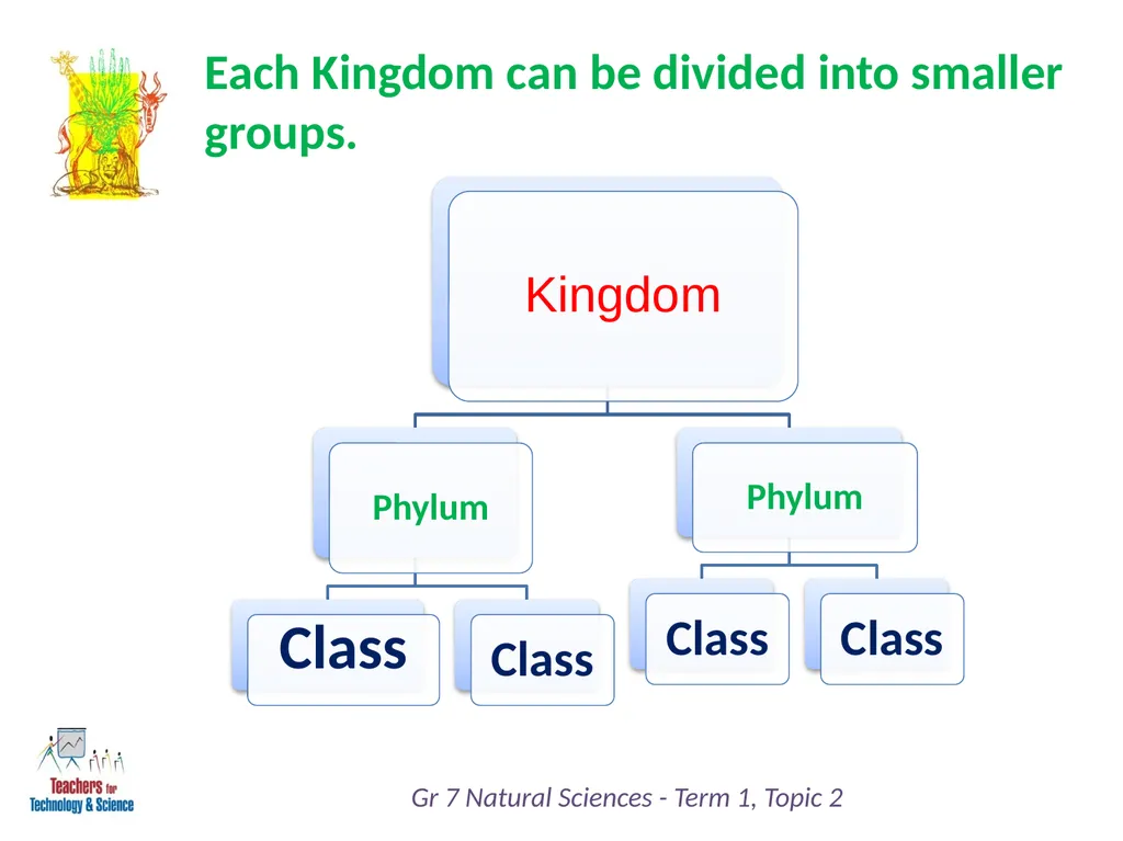 Natural Sciences Grade 7 Term 1: Life and Living - slide 11 of 17