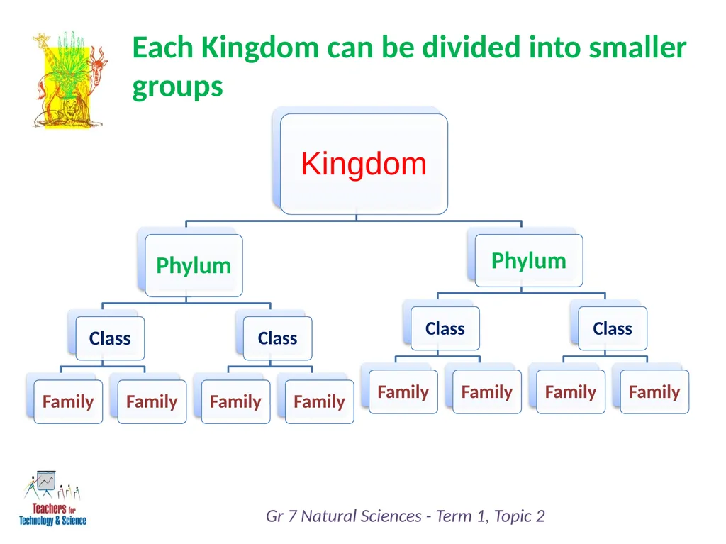 Natural Sciences Grade 7 Term 1: Life and Living - slide 12 of 17